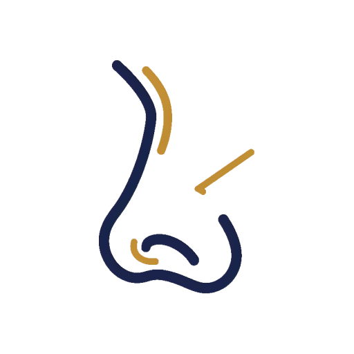 Revision Rhinoplasty